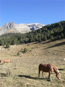 senderismo-en-el-valle-de-estos